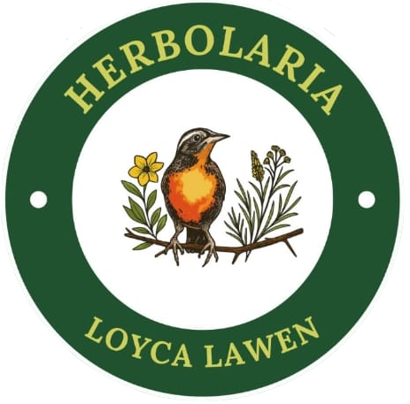 Loyca Lawen